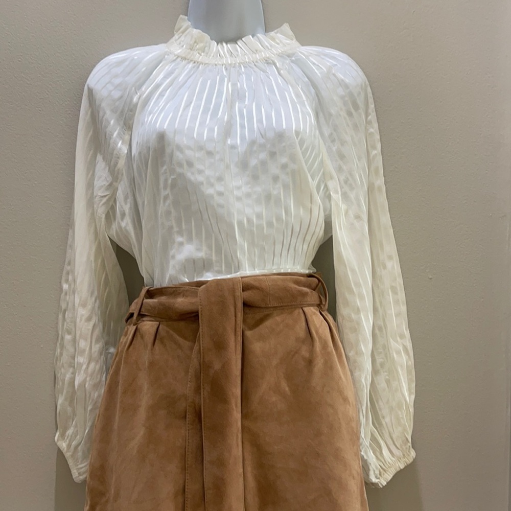 Ann Taylor Sheer Blouse